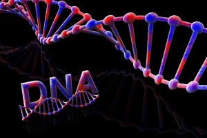 DNA